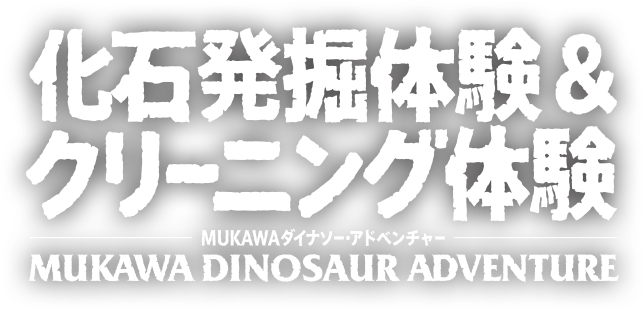 化石発掘体験＆クリーニング体験 MUKAWAダイナソー・アドベンチャー MUKAWA DINOSAUR ADVENTURE
